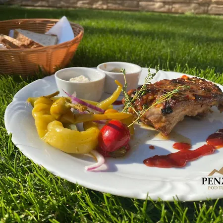 Penzion Pod Tureckom 3*